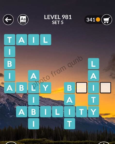 The letters you can use on this level are &39;IISEDAS&39;. . Wordscapes level 981